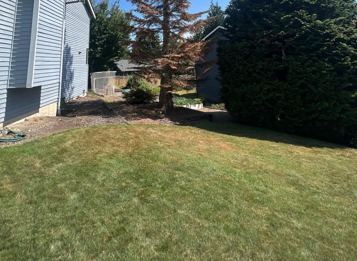 Land Clearing Land Clearing