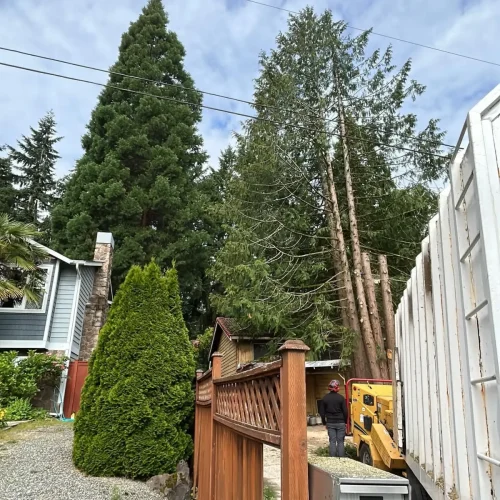 2026-09-29T13 07 44.701903Z-14629-1