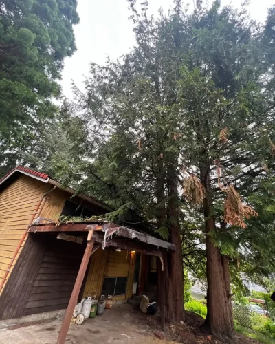 2026-09-29T13 07 45.001845Z-49843-1
