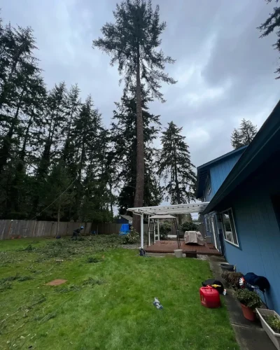 2026-09-29T13 07 48.096991Z-12698-1